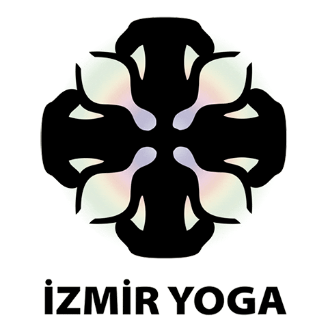 izmiryoga giphyupload Sticker