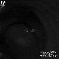 Watching Evil Eye GIF by Arrow Video