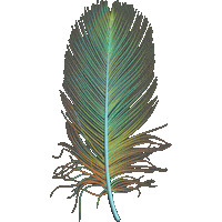 Color Bird Sticker