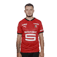 Ligue 1 Football Sticker by Stade Rennais F.C.