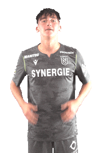 Ligue 1 Football Sticker by FCNantes