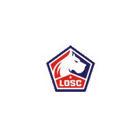 ligue 1 football Sticker by LOSC