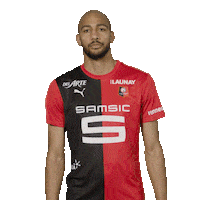 France Football Sticker by Stade Rennais F.C.