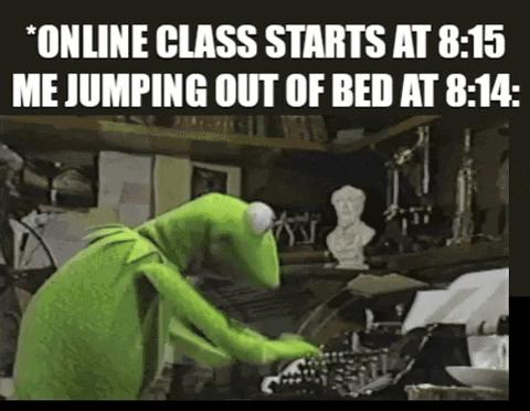 PrivatschulenPORTAL giphygifmaker fun school fast GIF