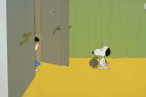 youre not elected charlie brown GIF by Peanuts