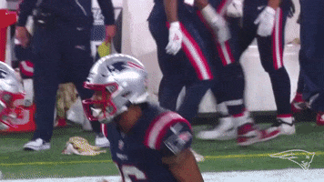 Happy Football GIF by New England Patriots