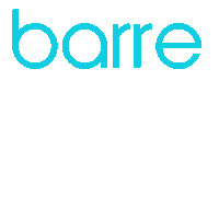 barre fitness Sticker by Barrecentric