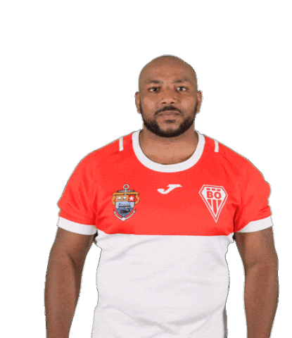 Pro D2 Rugby Sticker by Biarritz Olympique Pays Basque