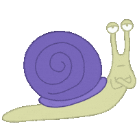 Snail No Sticker