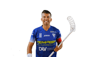 Floorball Deli Sticker by Český florbal