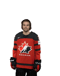 Lets Go Goal Sticker by International Ice Hockey Federation