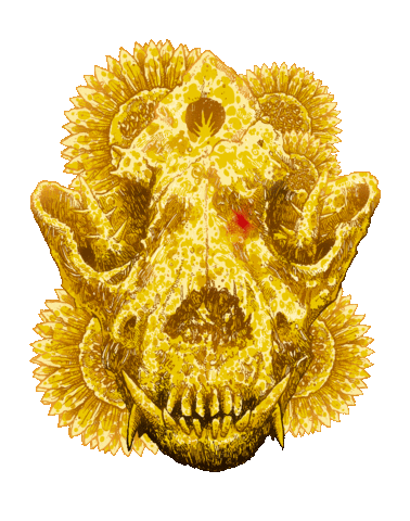 jotrape giphyupload sticker gold skull Sticker