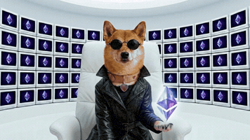 Wake Up | DogeGF Matrix