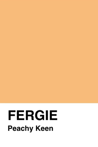 fergiedesign giphygifmaker peach fergie pantone GIF
