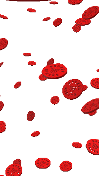 Raining Mountain Biking Sticker by Broken Riders