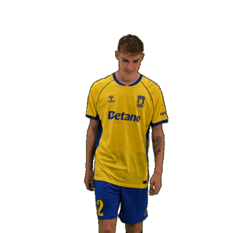 Goalcelebration Sejr Sticker by Brøndby IF