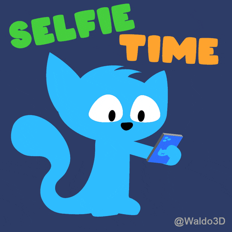 Waldo3D giphyupload cat photo selfie GIF