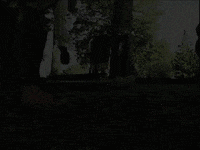 Active GIF