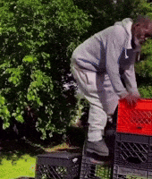 Falling Down GIF
