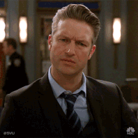 Season 19 Nbc GIF by Law & Order