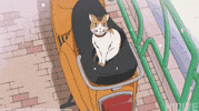 Cherry Blossoms Cat GIF by HIDIVE