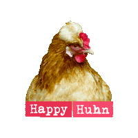 Chicken Sticker