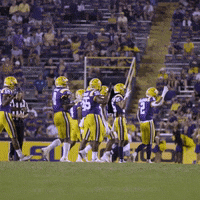 Lsu Football Win GIF by LSU Tigers