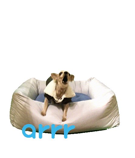 아르르 Sticker by arrr_official