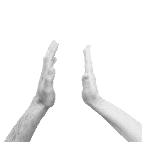 sarahthepalmer yes hands congratulations high five Sticker