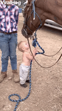 15-Month-Old Loving on His Horse Blake