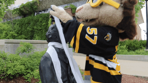 golden hawks mascot GIF by Waterloo Warriors