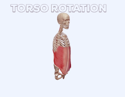 ab workout get fit fast GIF