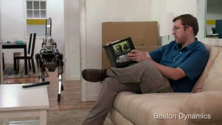 bad GIF