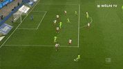 Football Sport GIF by VfL Wolfsburg