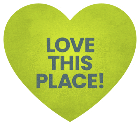 Love This Place Sticker by Leave No Trace Ireland