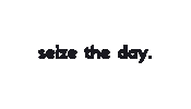 Seize The Day Quote Sticker by BroadwayWorld