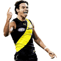 australian football league Sticker by AFL