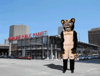 Pounce Public Market GIF by UW-Milwaukee