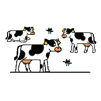 Baby Animal Cow Sticker by Milchland Niedersachsen