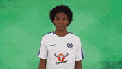 chelsea fc love GIF by Carabao UK
