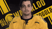 University Of Waterloo Hockey GIF by Waterloo Warriors
