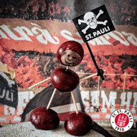St Pauli Sport GIF