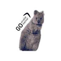 Australia Quokka Sticker by GOstralia!-GOmerica!