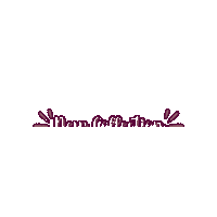 New Collection Sticker by The Sparkling Sugar Studio