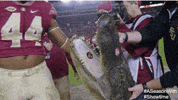 College Football Fsu GIF by SHOWTIME Sports