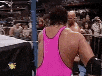 steve austin wrestling GIF by WWE