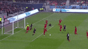 soccer mls GIF by D.C. United