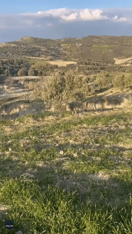 Earthquake Creates Canyon-Like Rift in Olive Grove in Southern Turkey