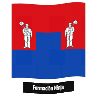 Castilla Y Leon Flag Sticker by Formación Ninja