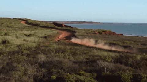 Mystery Road GIF by ABC Indigenous